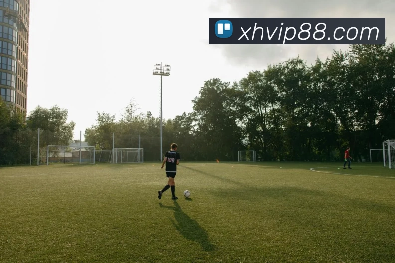 新航娱乐官网发展历程