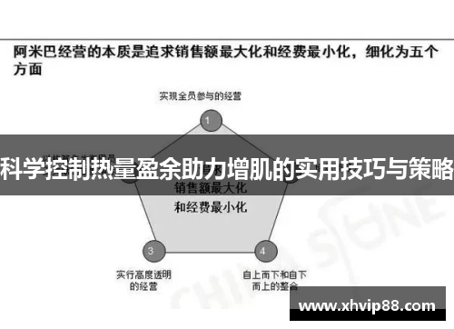 科学控制热量盈余助力增肌的实用技巧与策略